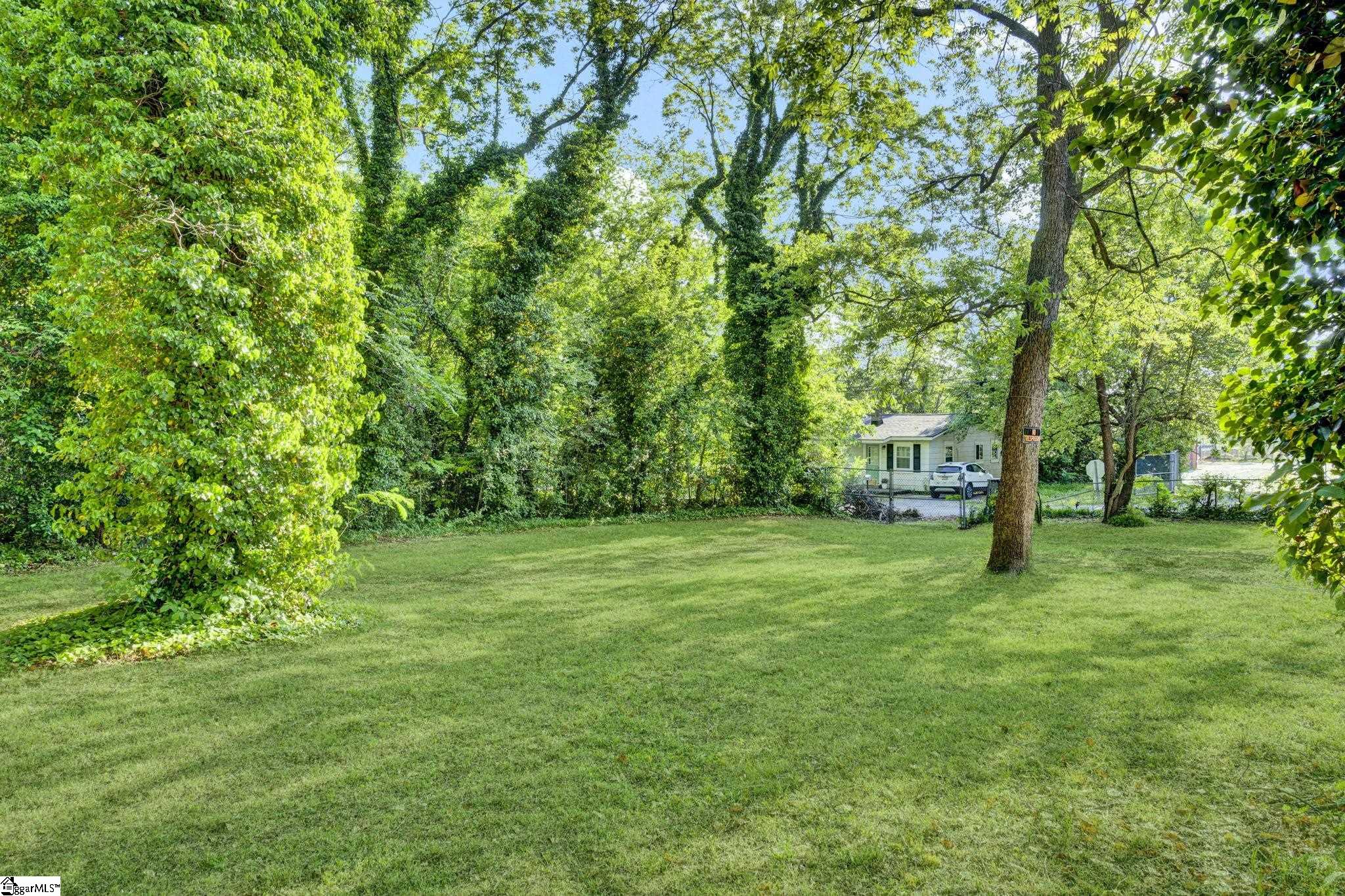 103 Dobbs Street Property Photo 39