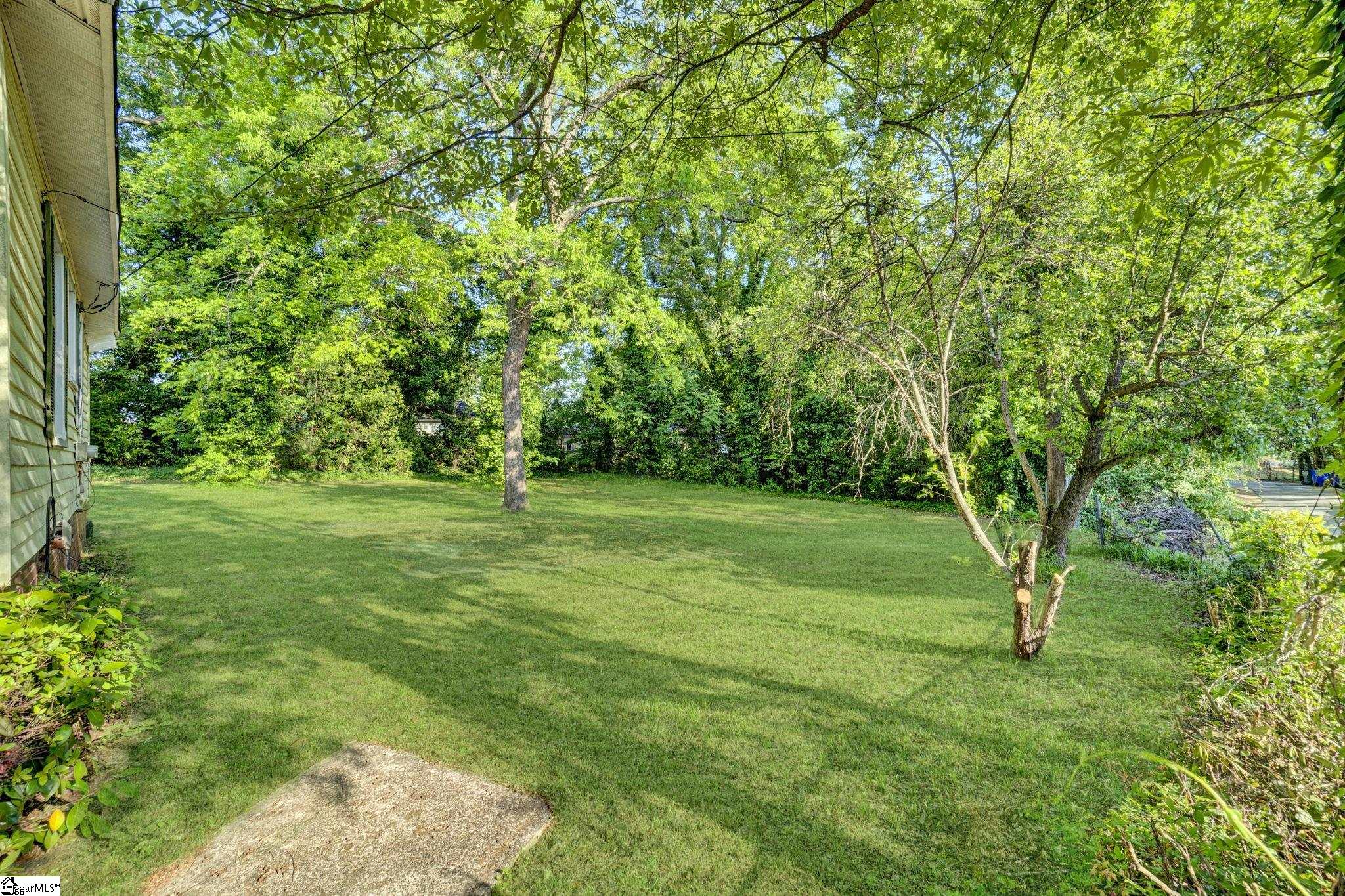 103 Dobbs Street Property Photo 40
