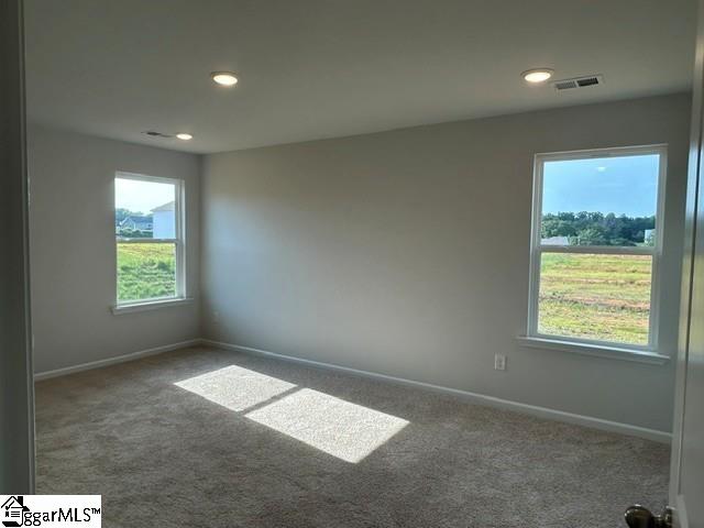 132 Edgewood Farms Court Property Photo 11
