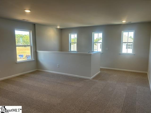 132 Edgewood Farms Court Property Photo 14