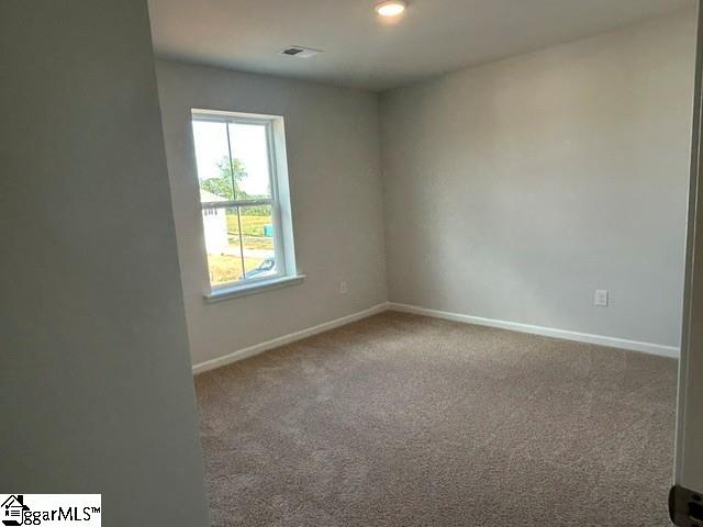 132 Edgewood Farms Court Property Photo 17