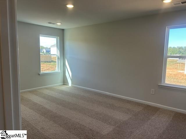132 Edgewood Farms Court Property Photo 20