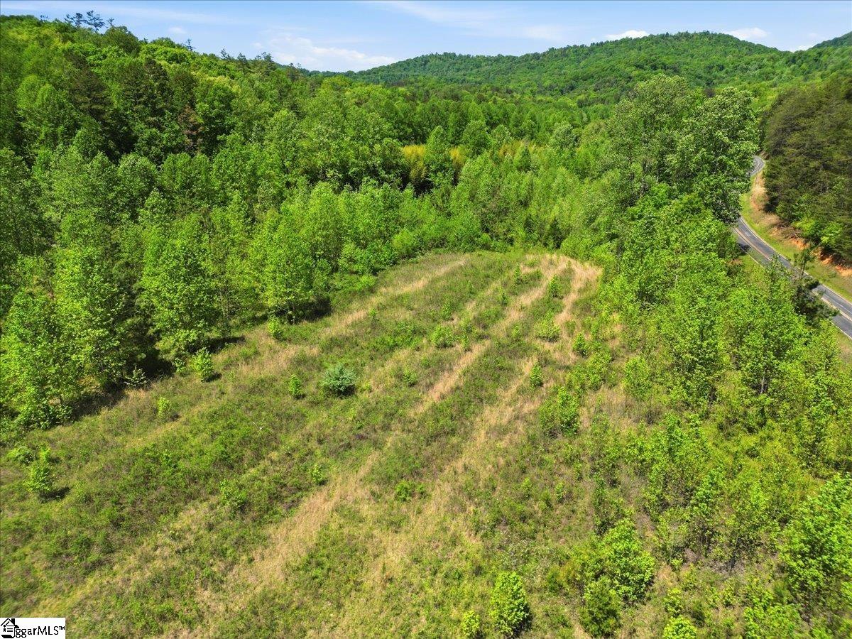 7148 11 Highway Property Photo 15