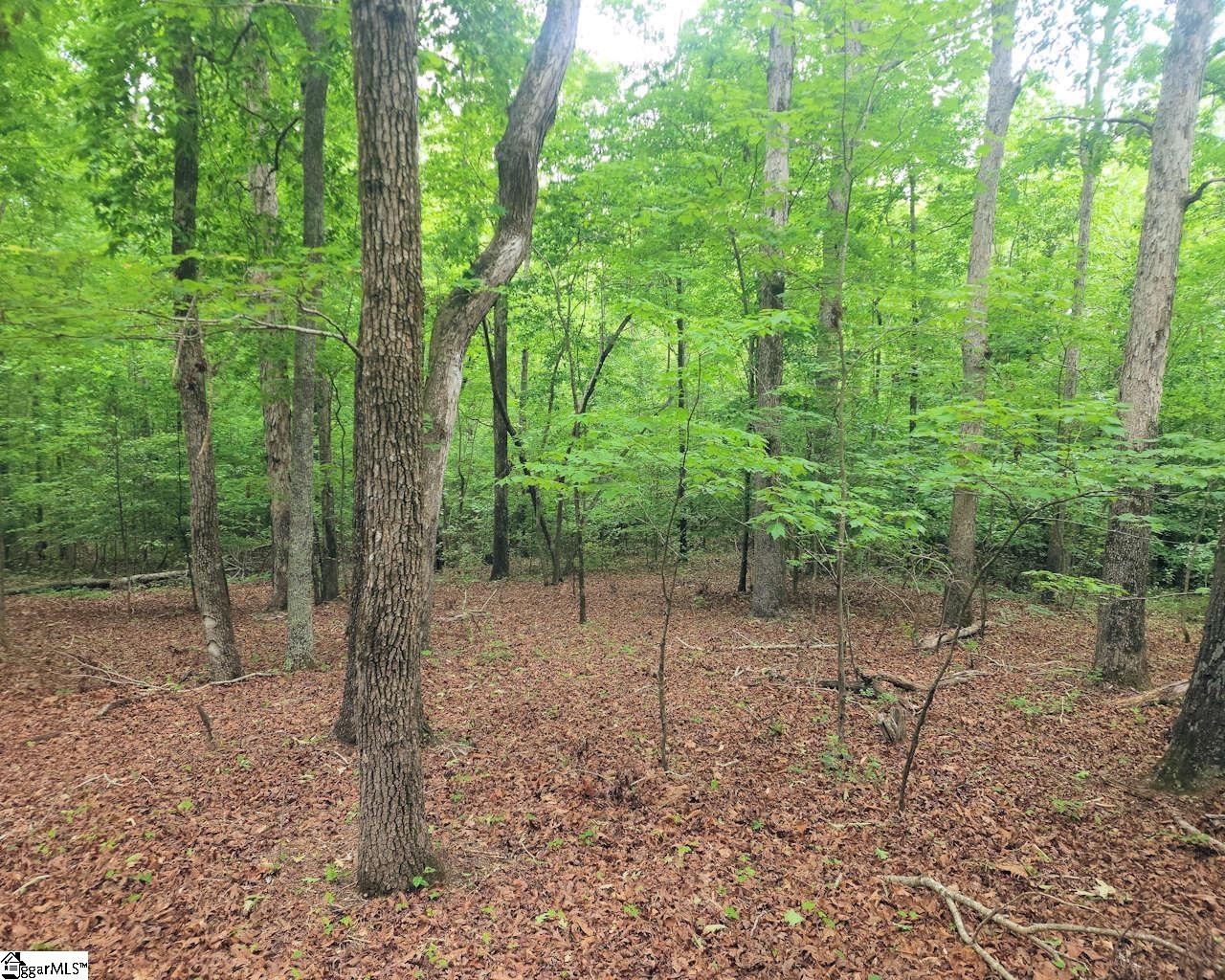 1589728 Property Photo 15