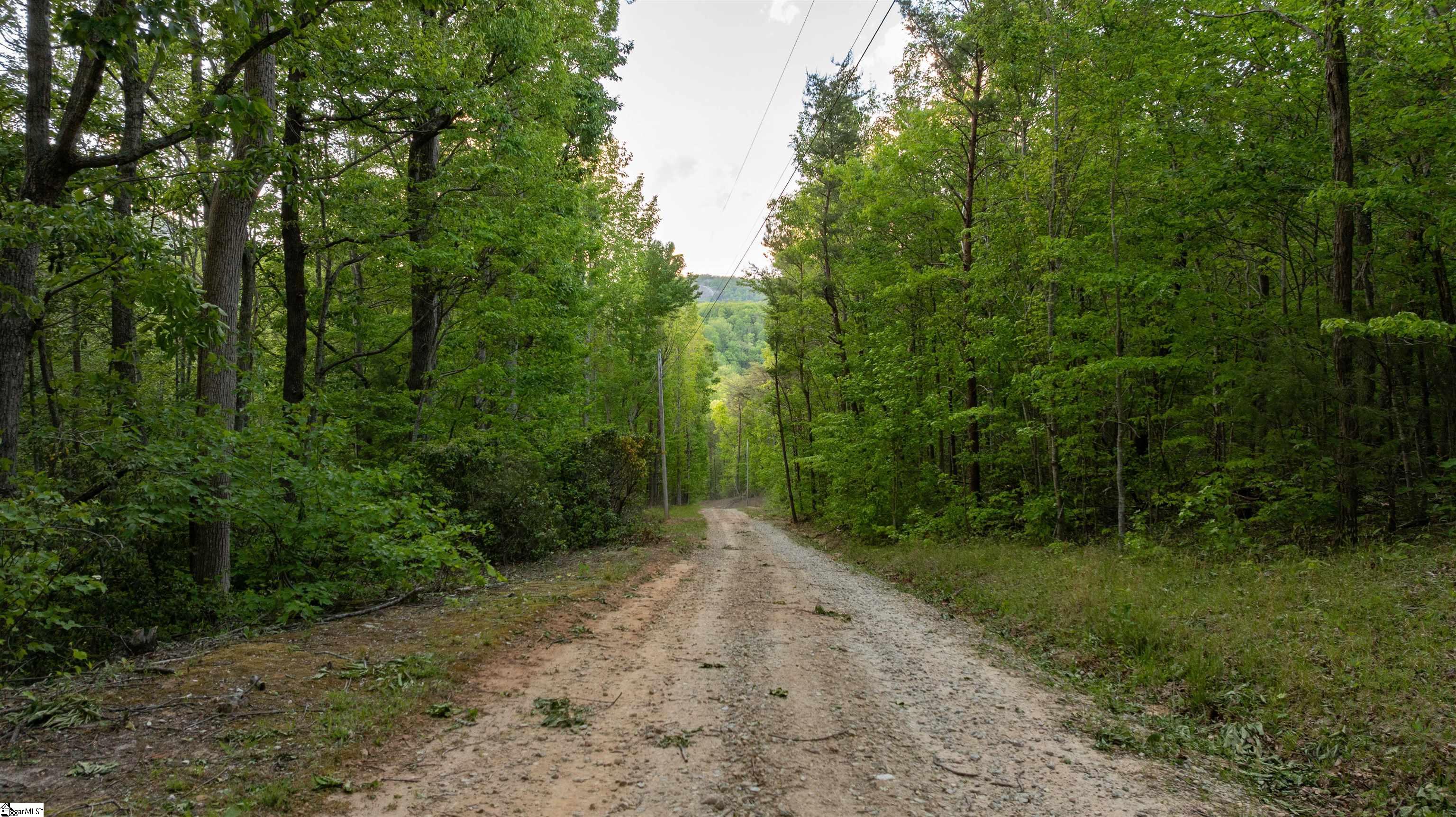 1717 State Highway 11 Property Photo 6