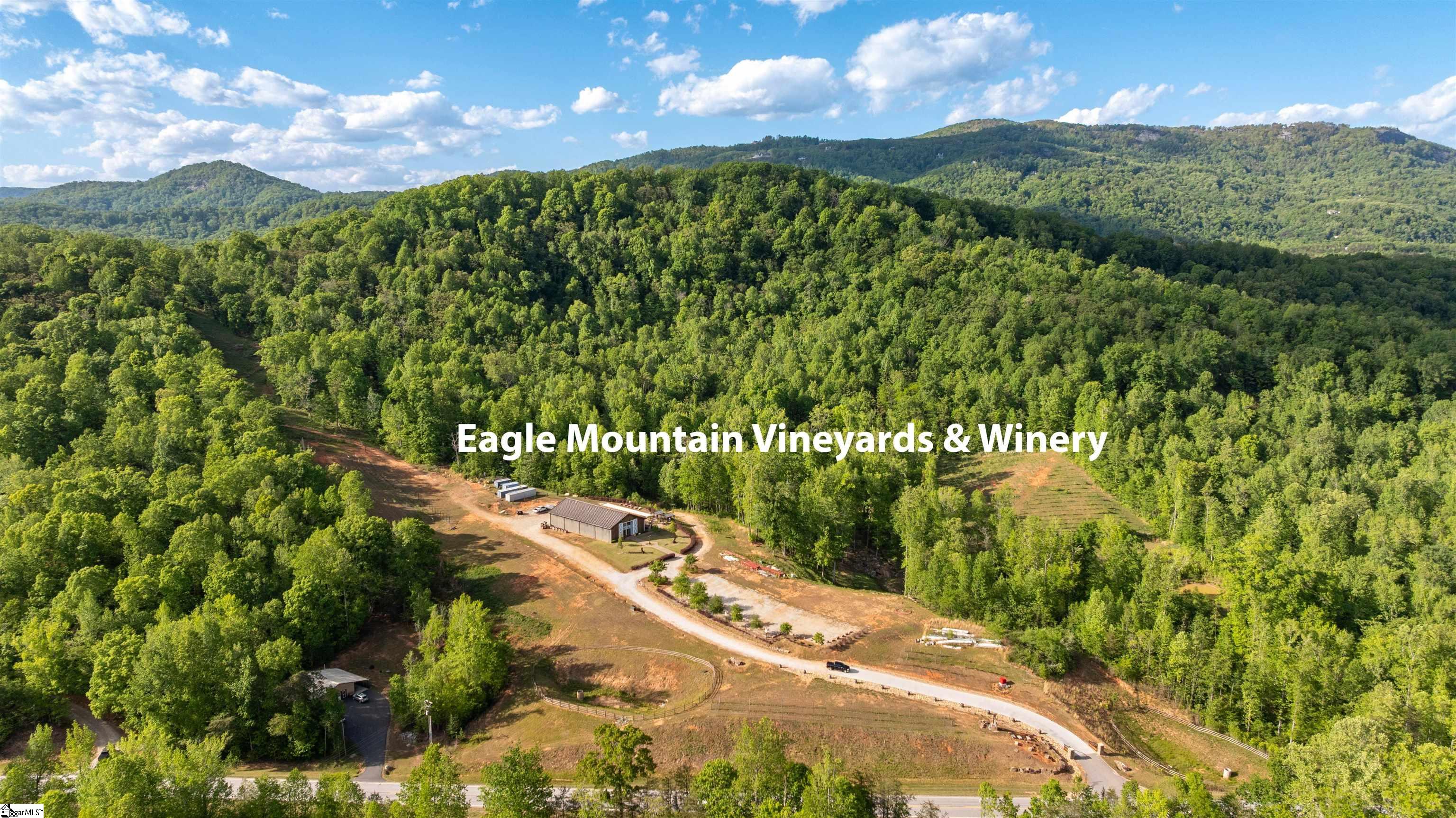 1717 State Highway 11 Property Photo 29