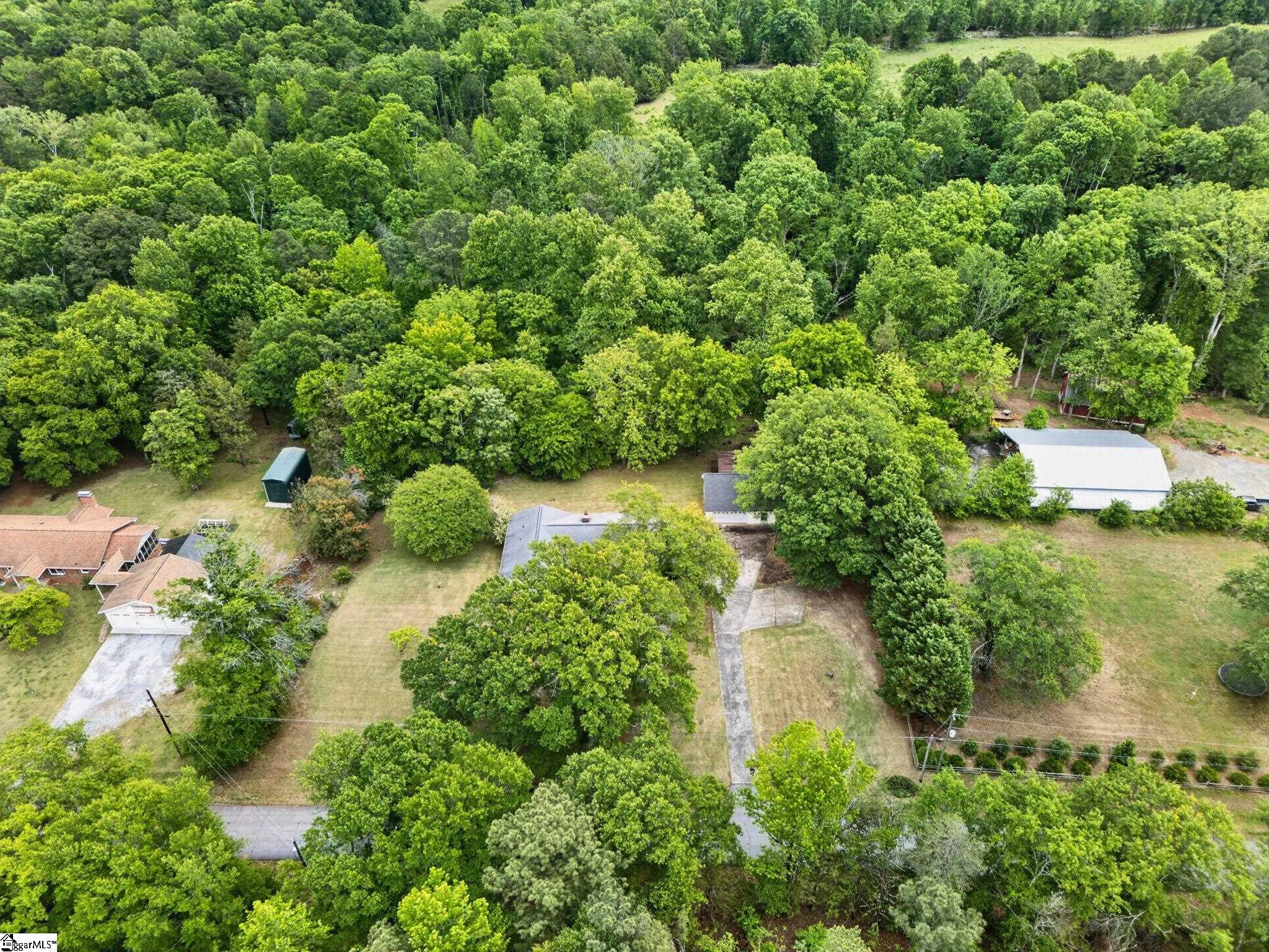 227 White Drive Property Photo 45