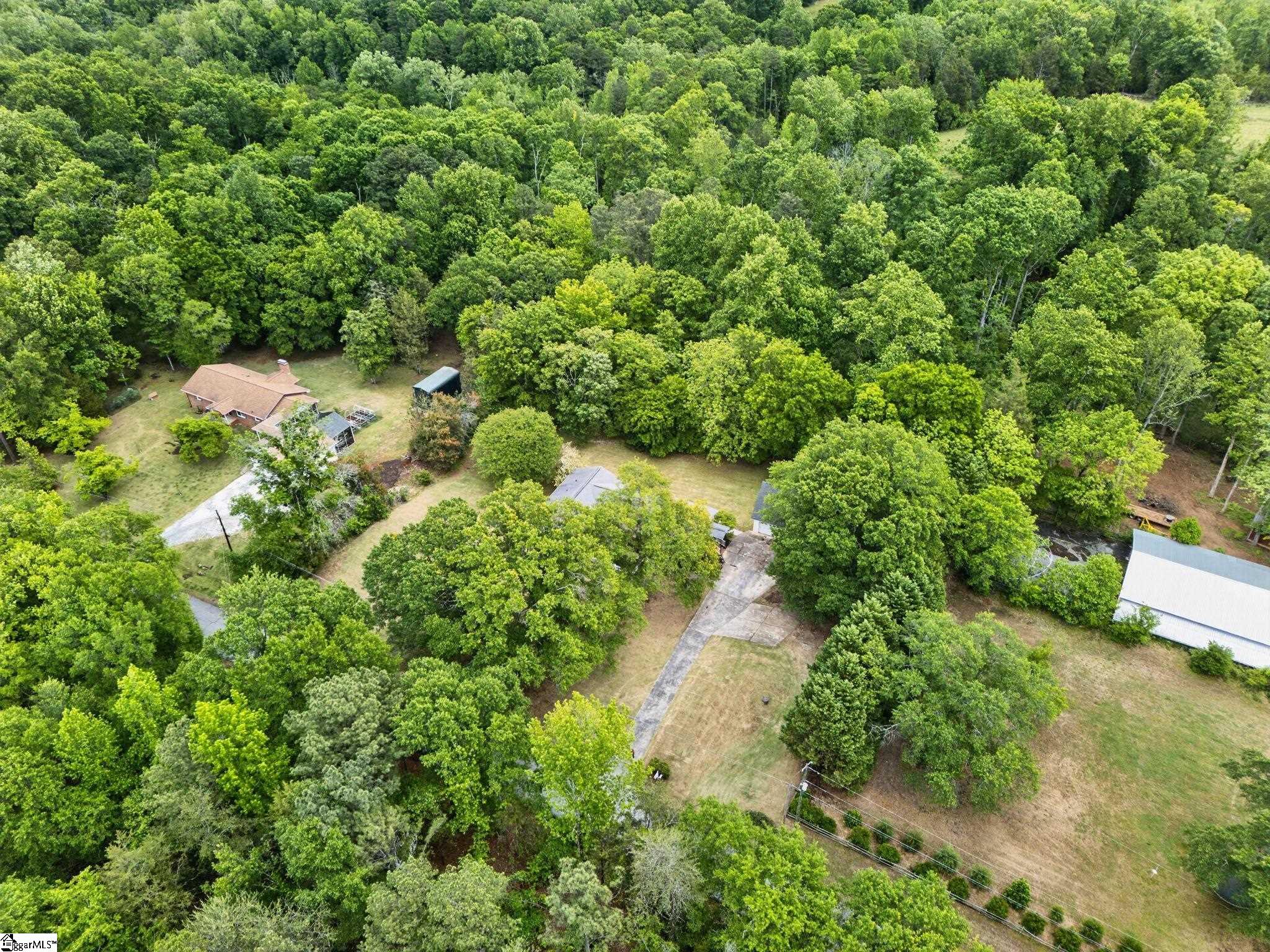 227 White Drive Property Photo 46