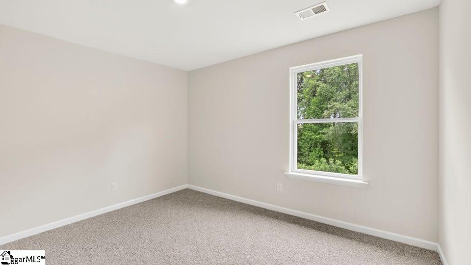 233 Deskin Lane Property Photo 24