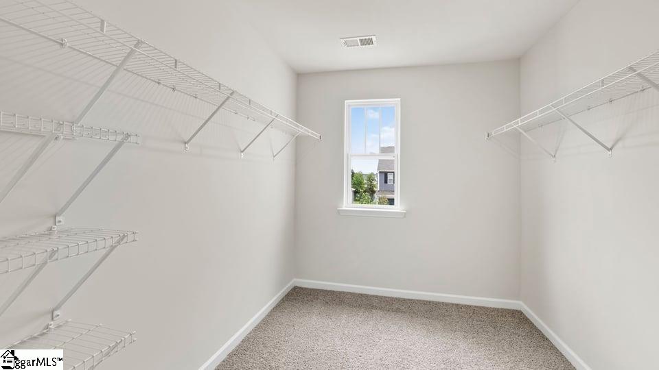 233 Deskin Lane Property Photo 31