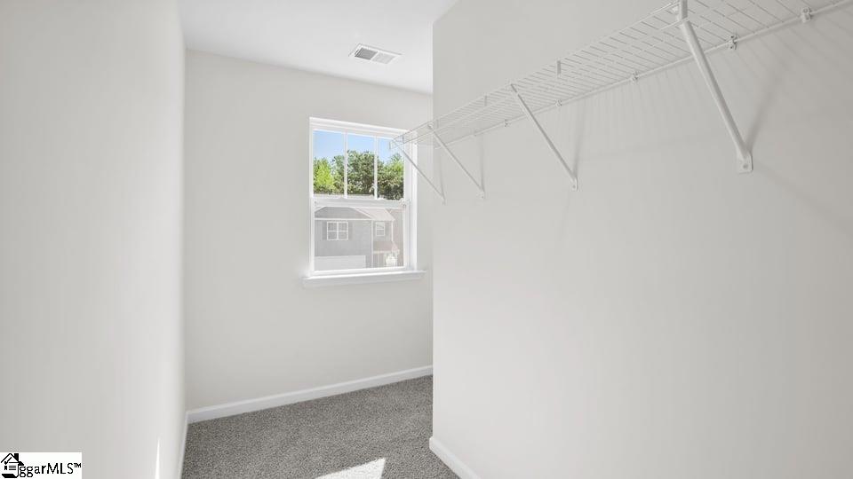 236 Deskin Lane Property Photo 32