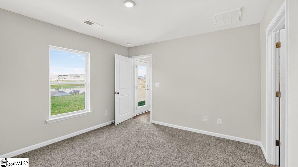 238 Deskin Lane Property Photo 24