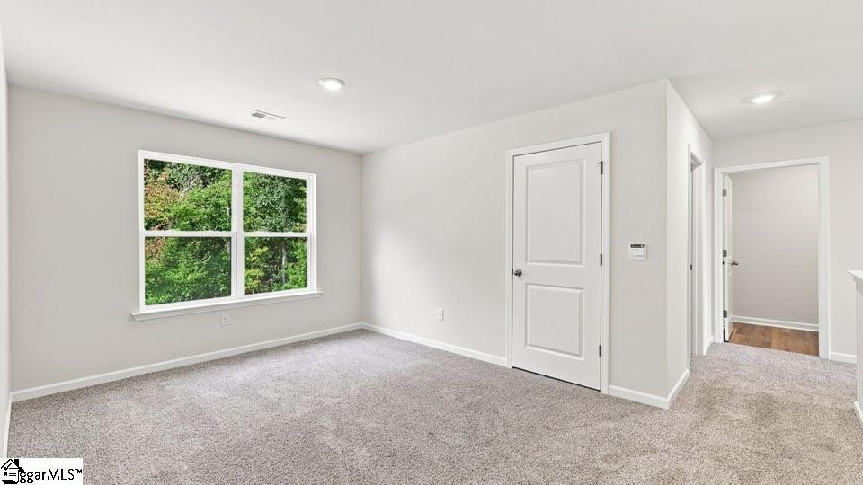 113 Cades Cove Drive Property Photo 20