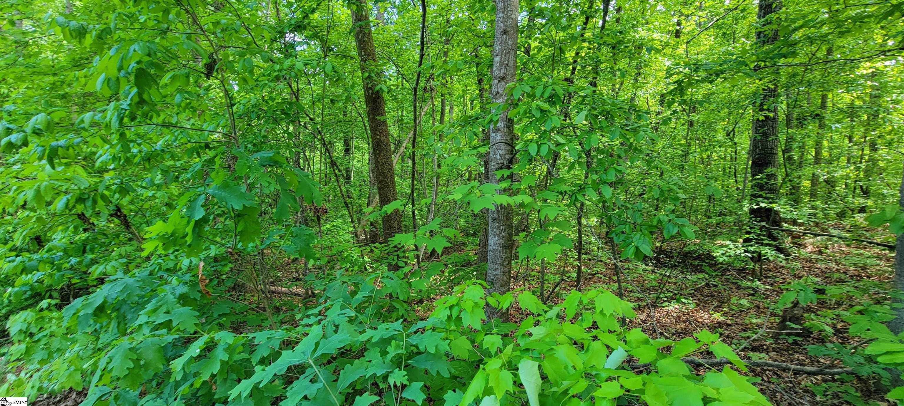 00 Lynden Loop Property Photo 3