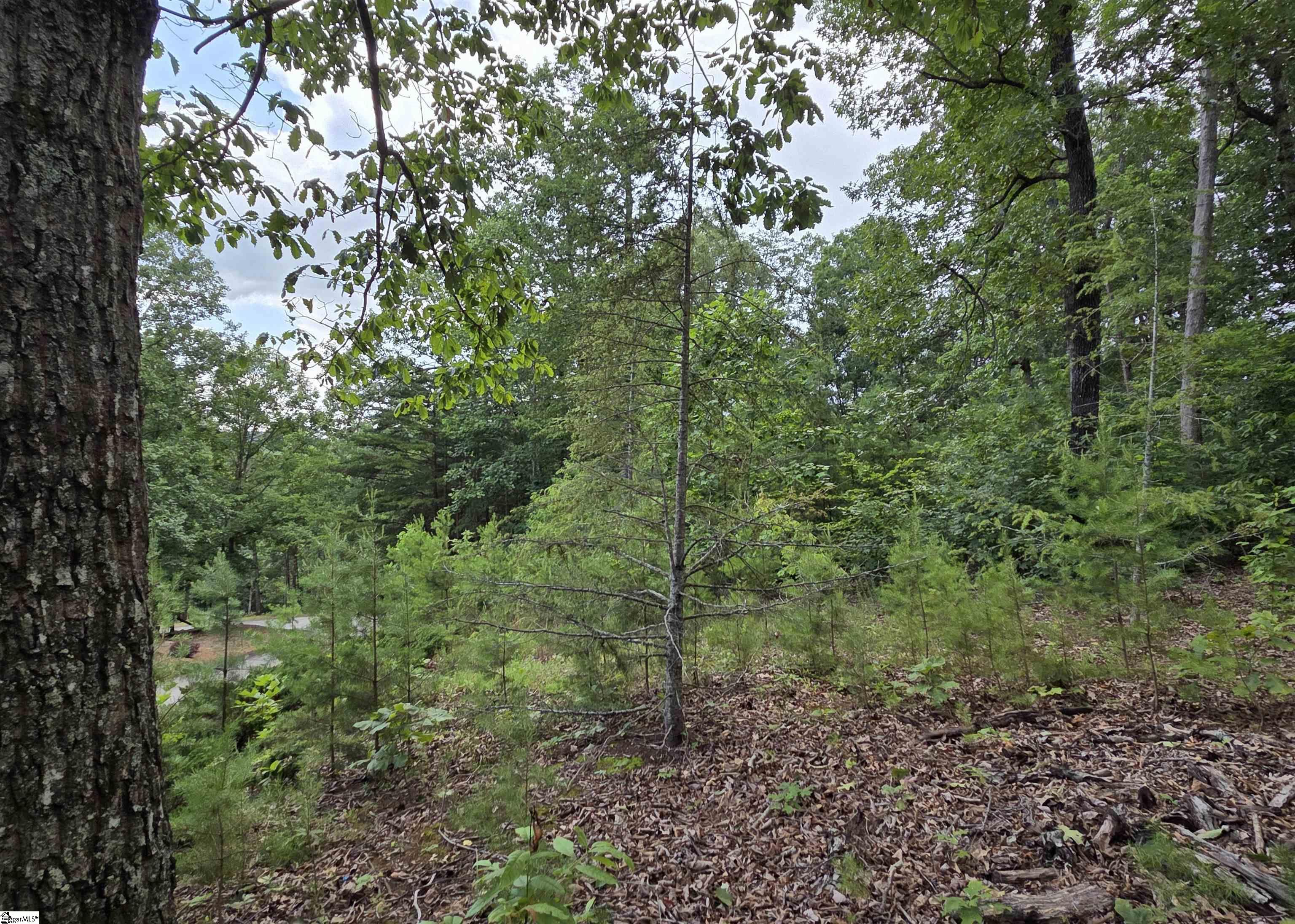 219 Luberon Lane Property Photo 4