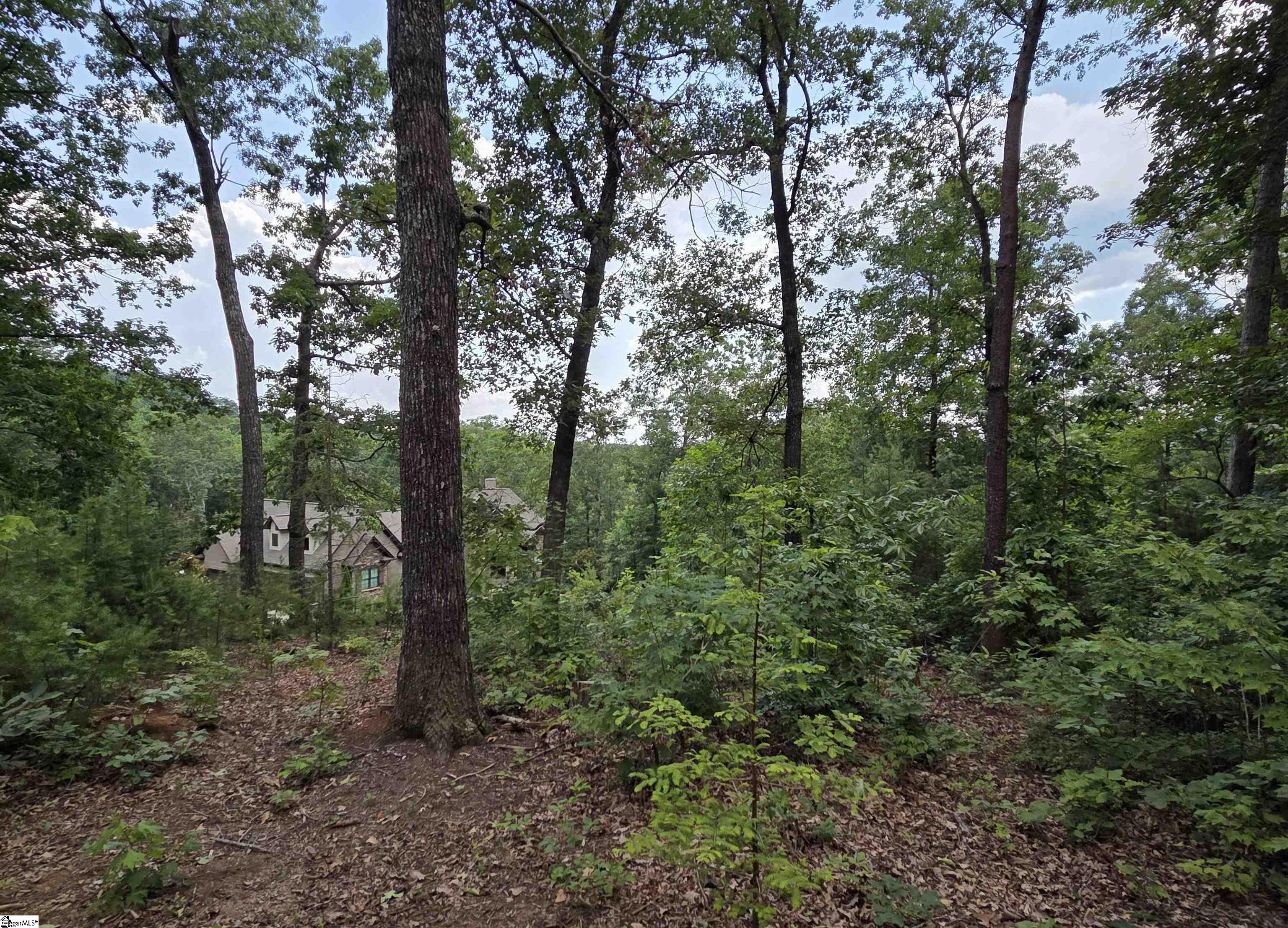 219 Luberon Lane Property Photo 6