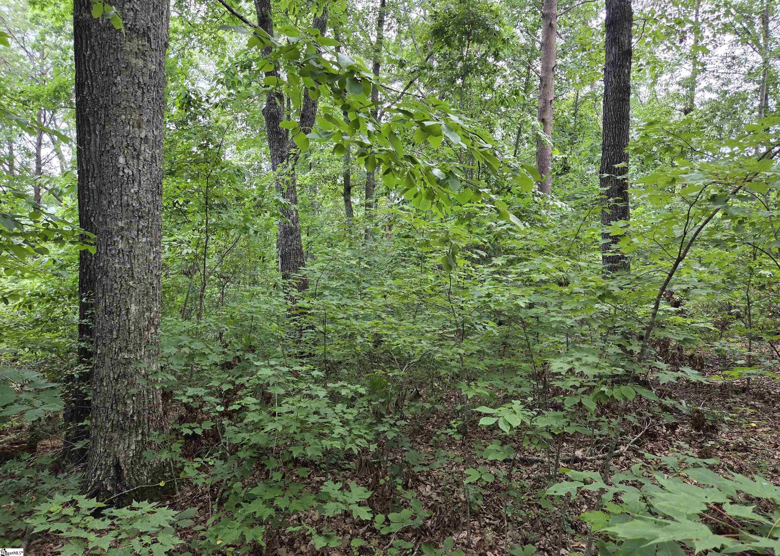 219 Luberon Lane Property Photo 10