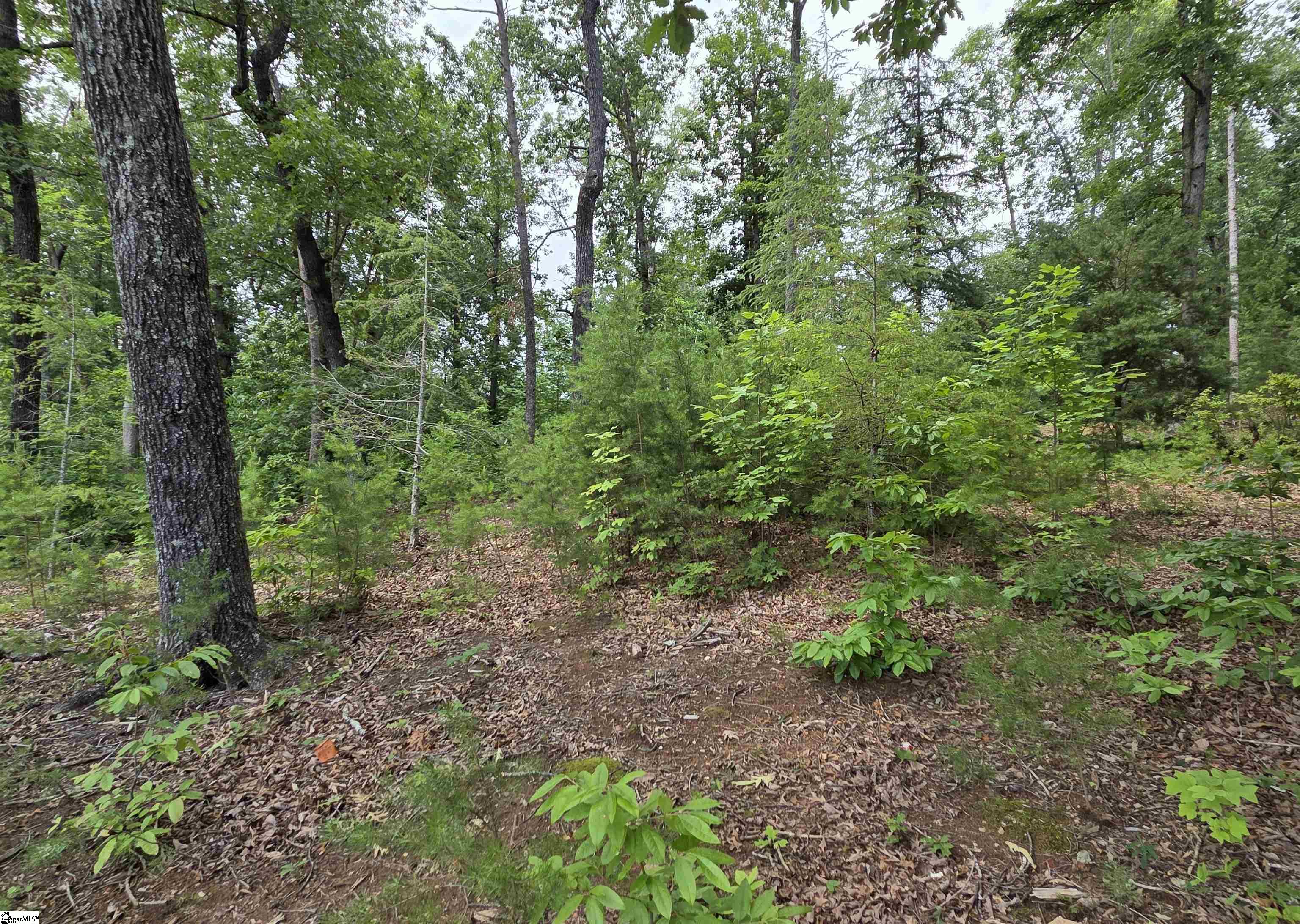 219 Luberon Lane Property Photo 13