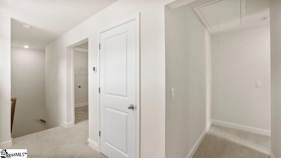 305 River Trace Loop Property Photo 23