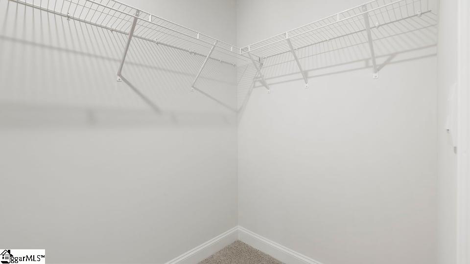 305 River Trace Loop Property Photo 36