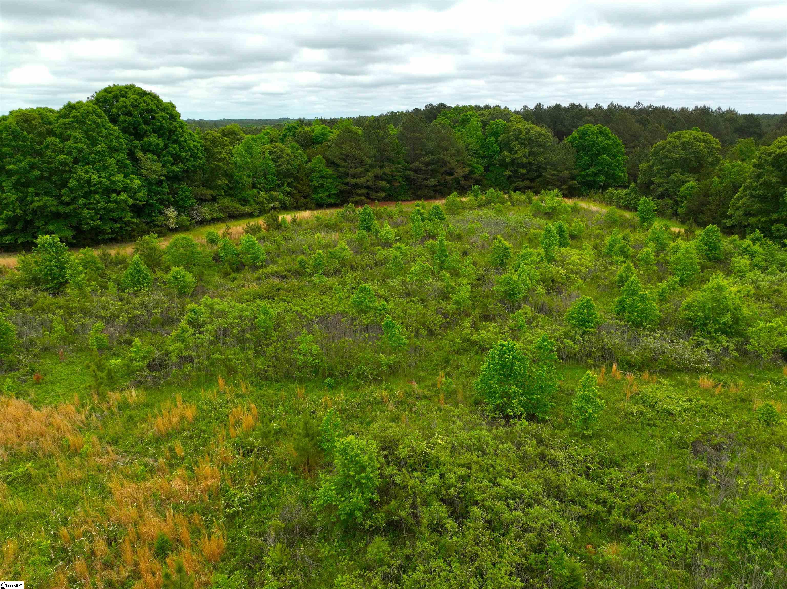 3170 Highway 20 Property Photo 8