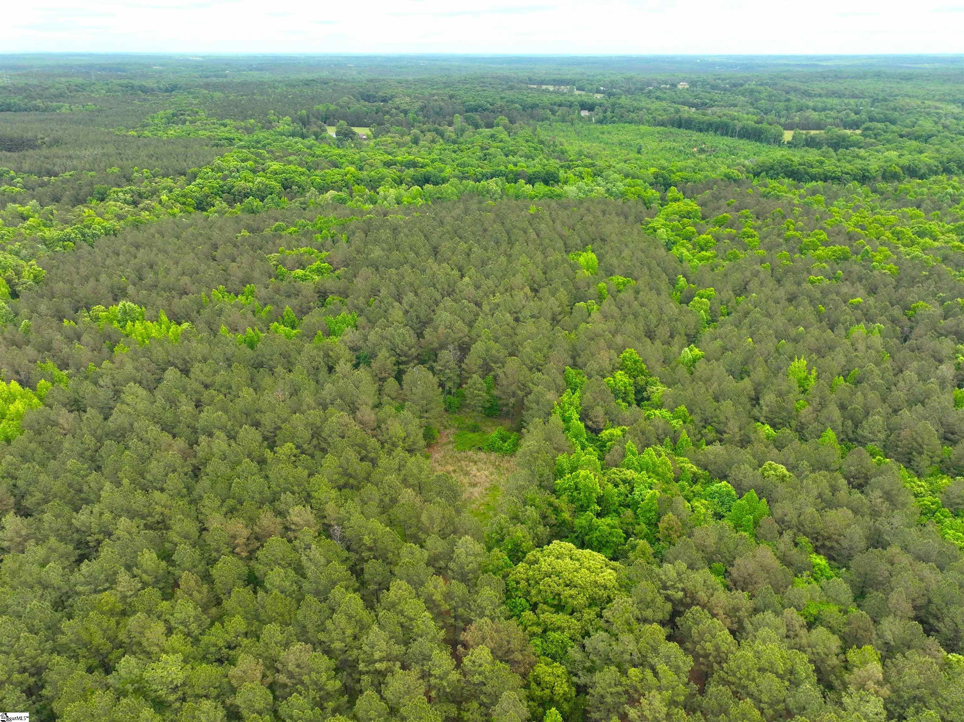 3170 Highway 20 Property Photo 11