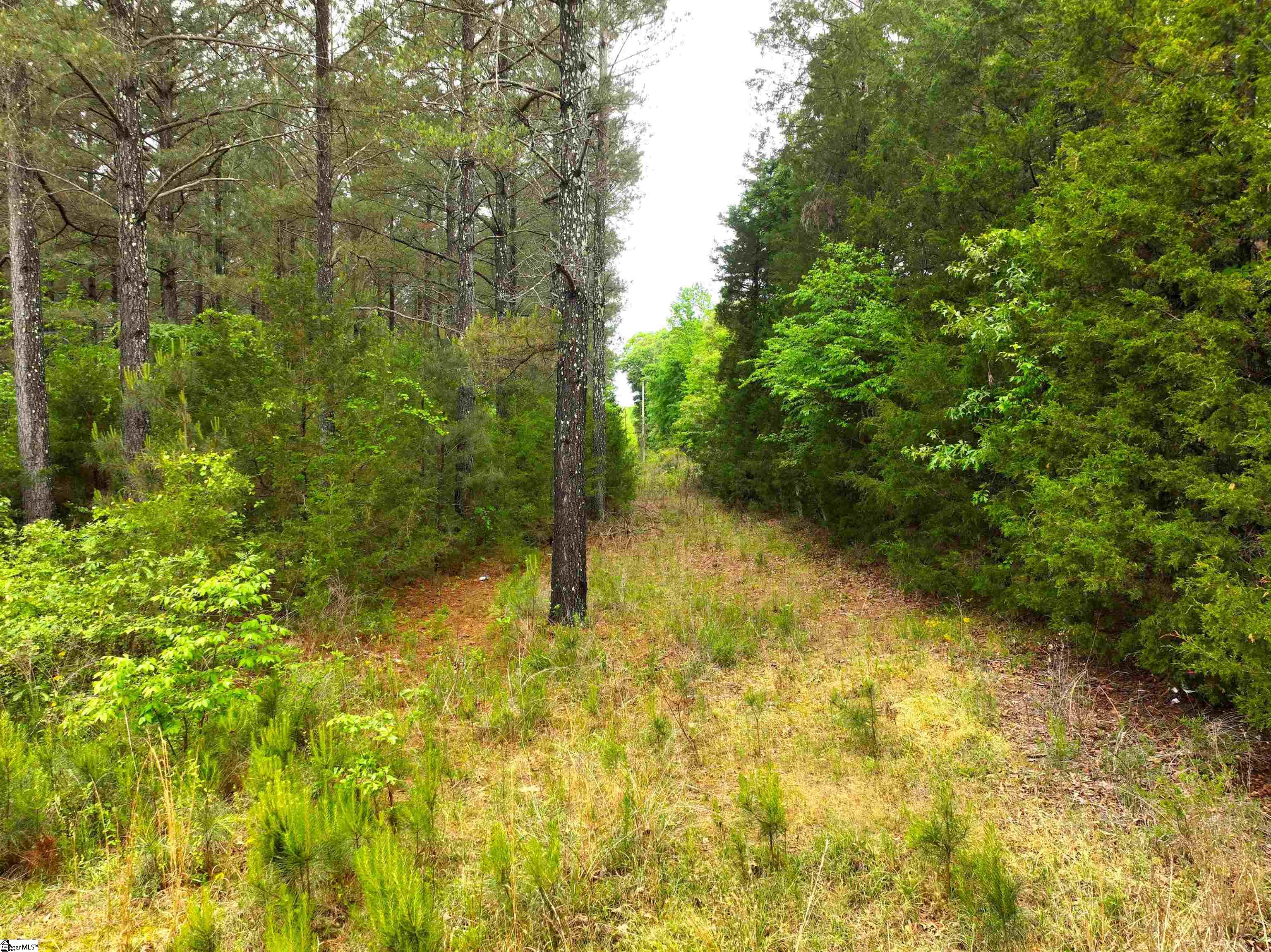 3170 Highway 20 Property Photo 17