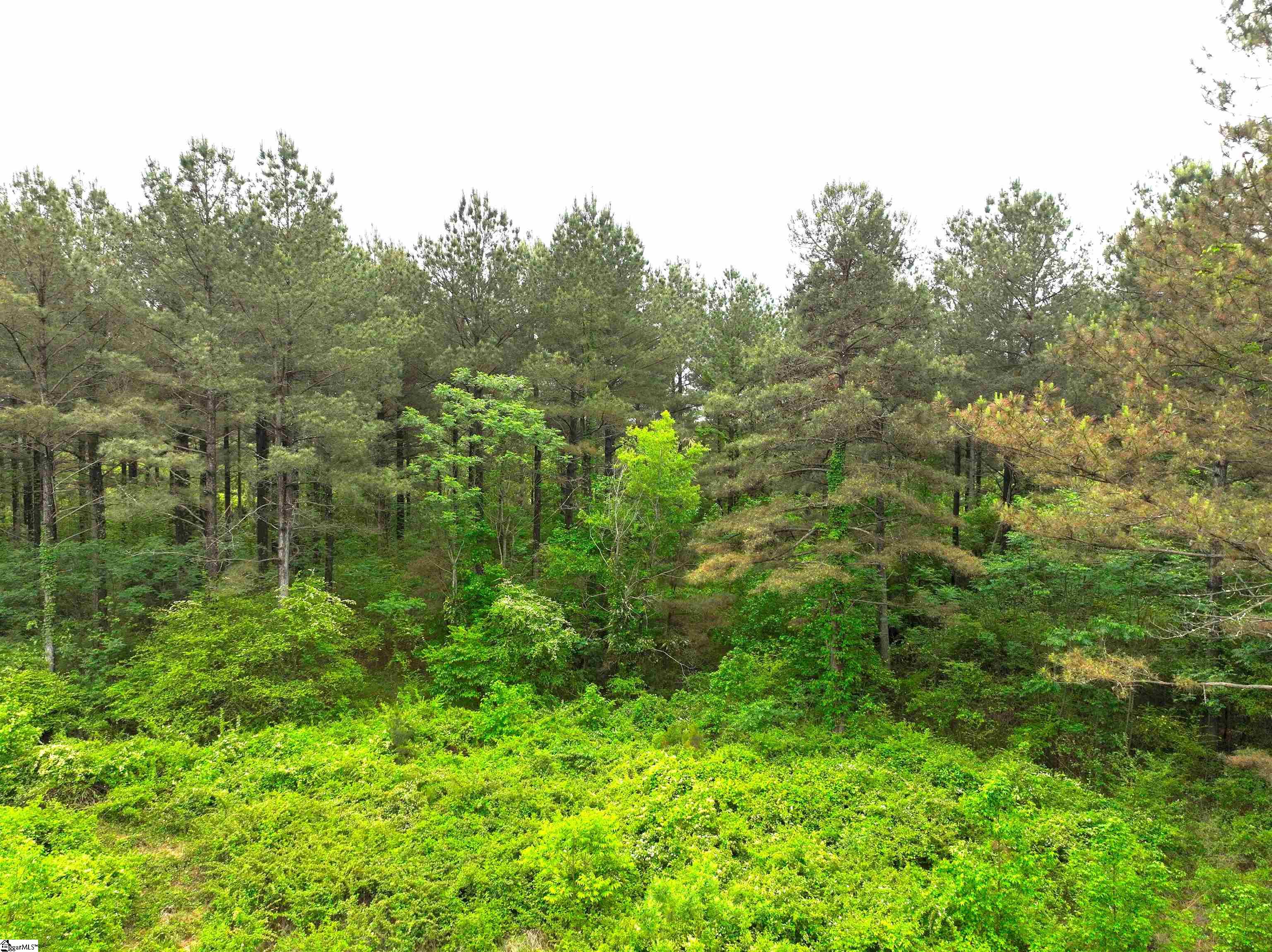 3170 Highway 20 Property Photo 18