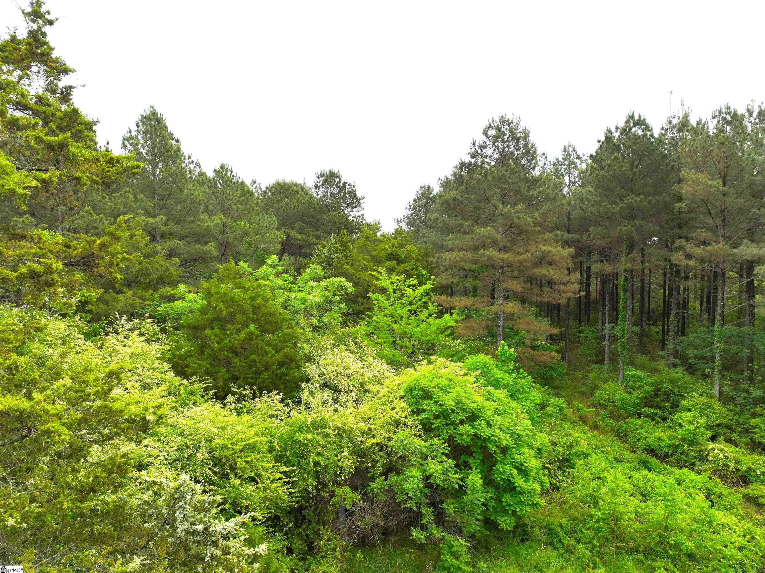 3170 Highway 20 Property Photo 19