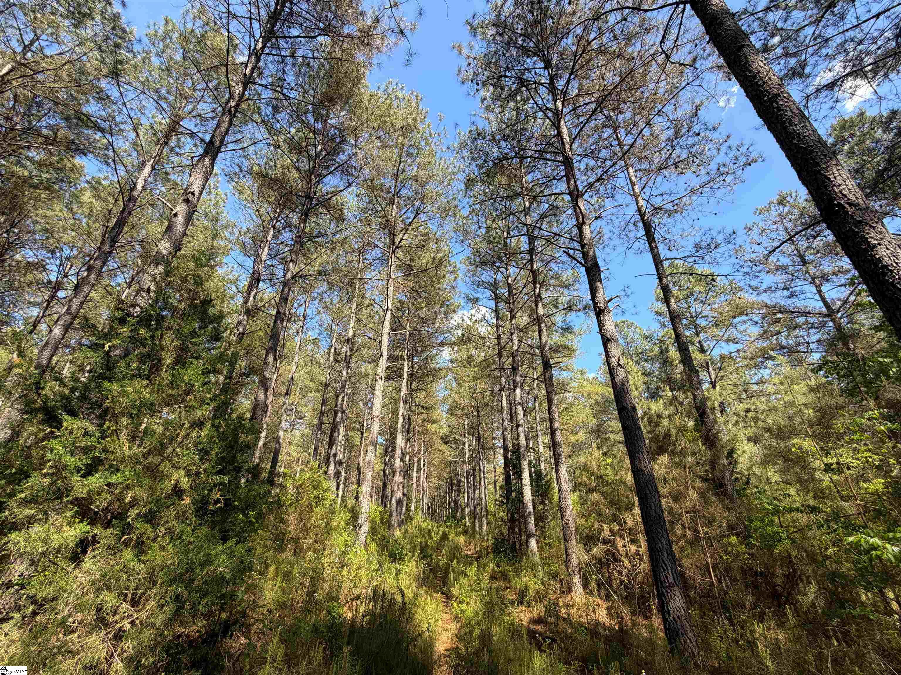 3170 Highway 20 Property Photo 20