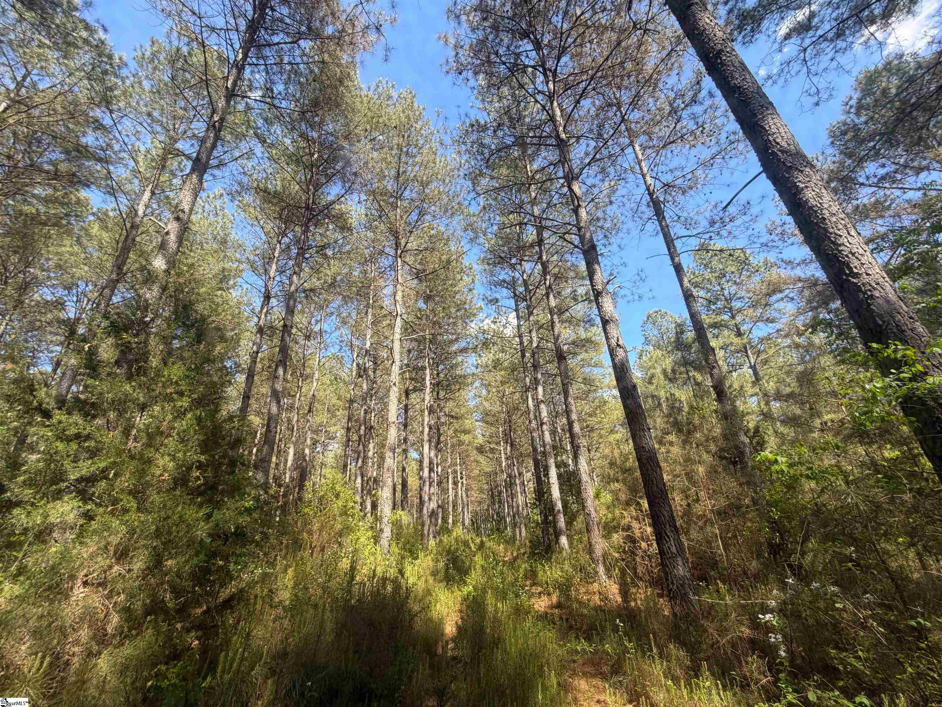 3170 Highway 20 Property Photo 21