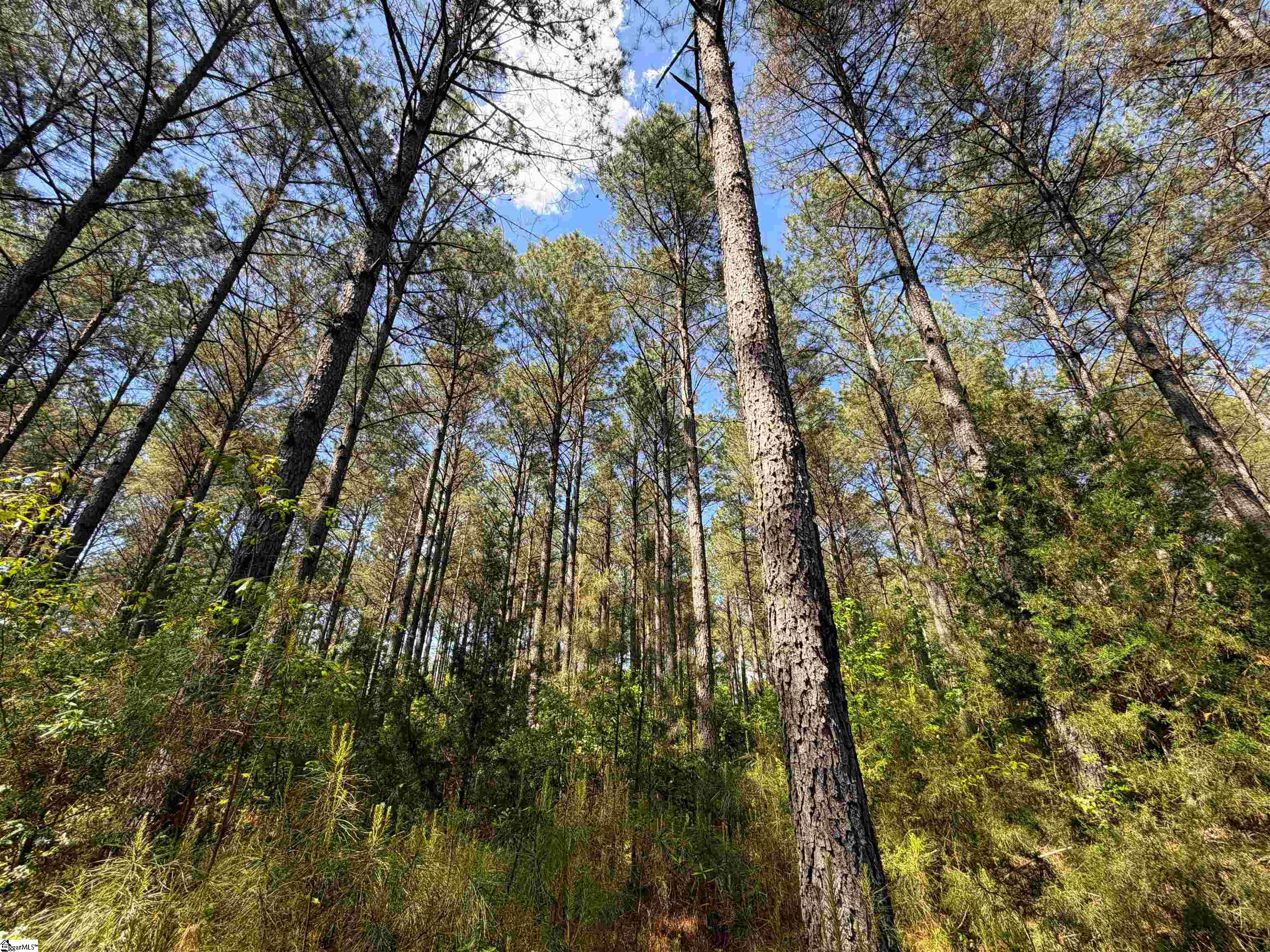 3170 Highway 20 Property Photo 22