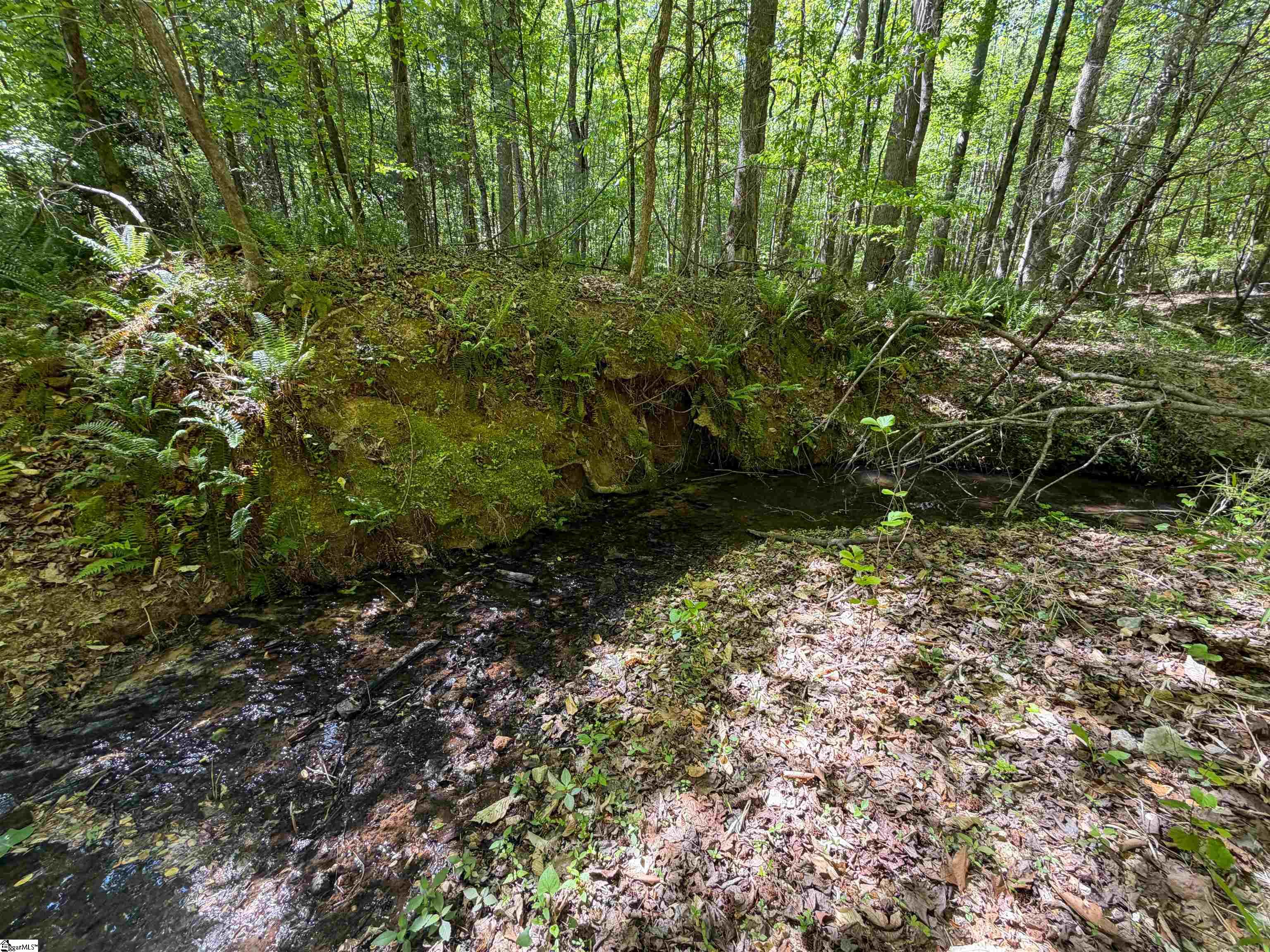 3170 Highway 20 Property Photo 23
