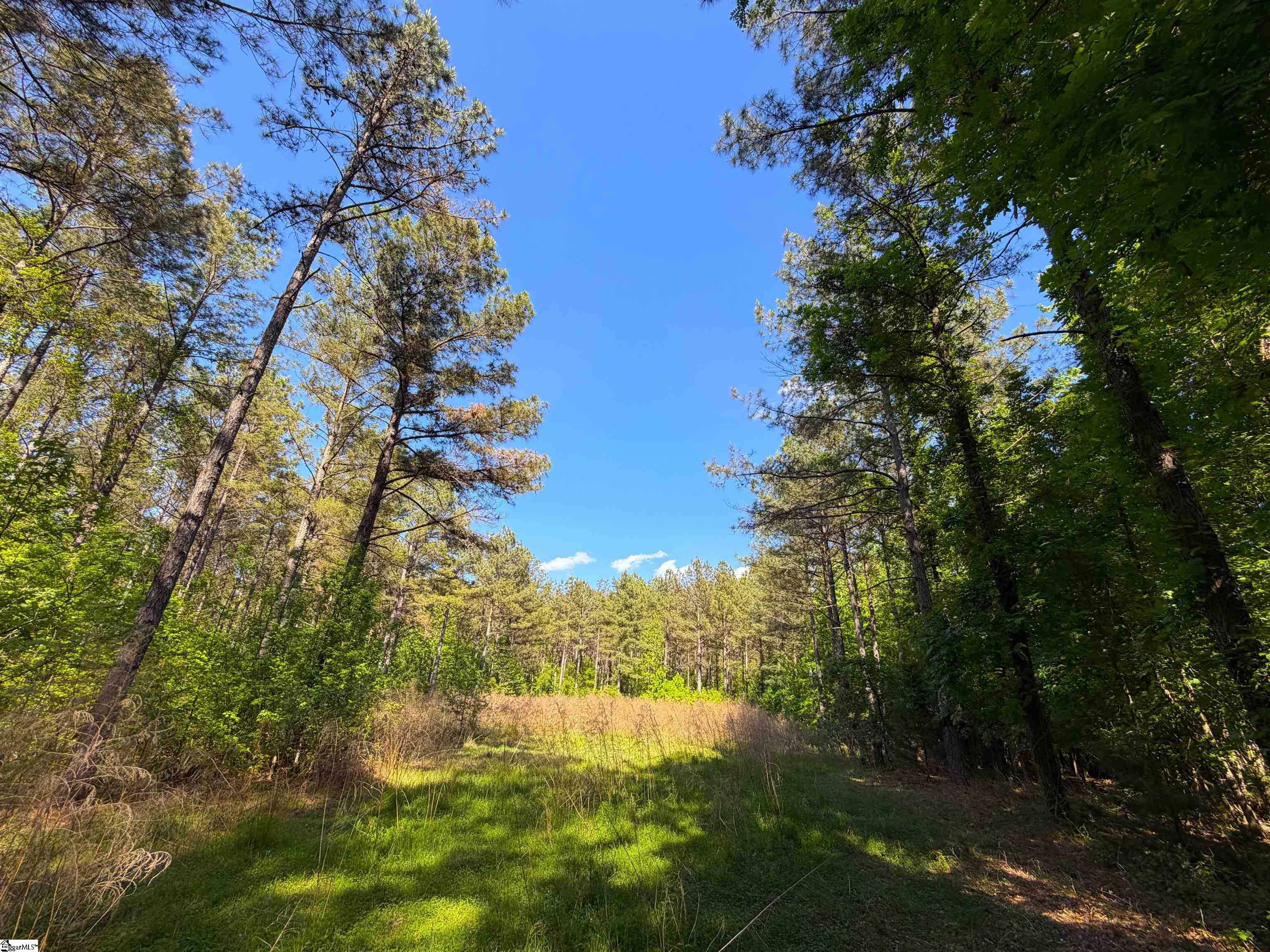 3170 Highway 20 Property Photo 30