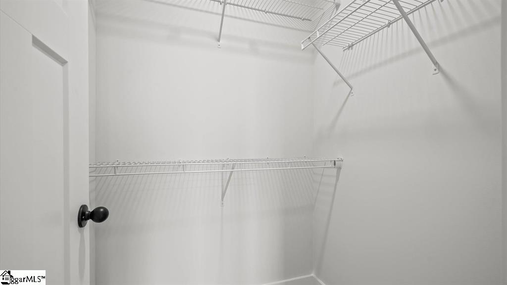 109 Dalmatian Drive Property Photo 14