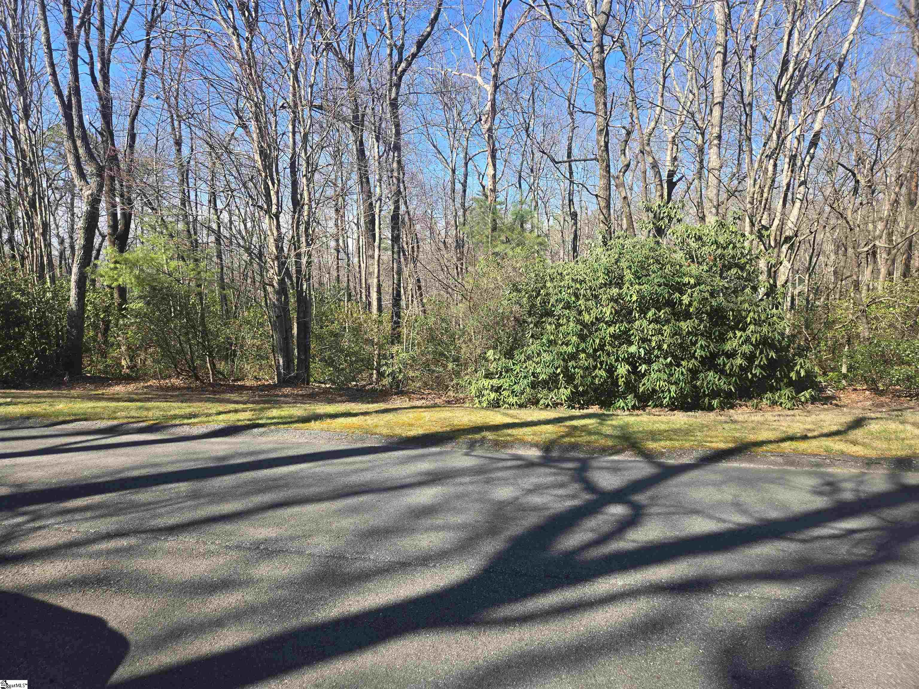 319 Cliff Ridge Drive Property Photo 2