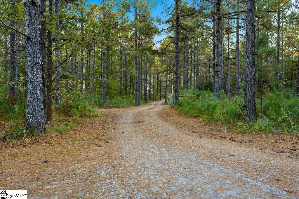 1907 Mountain Creek Church Road Property Photo 7