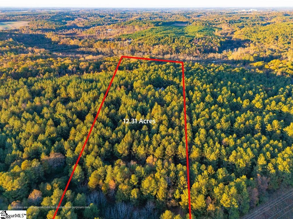 1907 Mountain Creek Church Road Property Photo 27