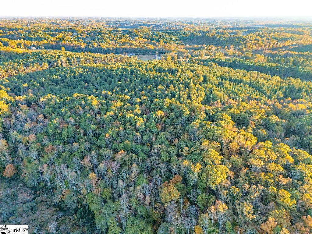 1907 Mountain Creek Church Road Property Photo 30