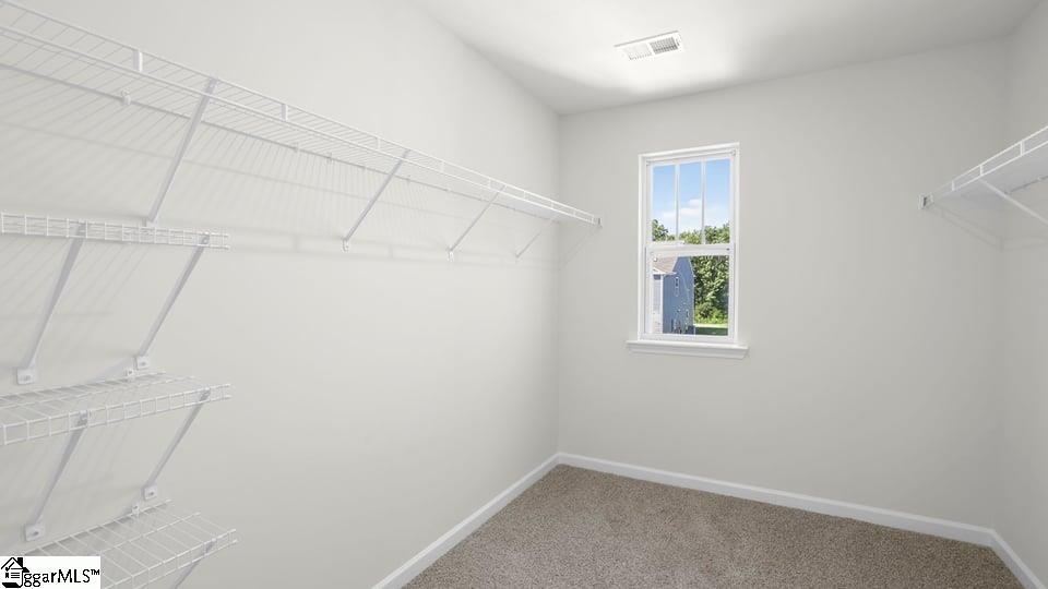 239 Deskin Lane Property Photo 34