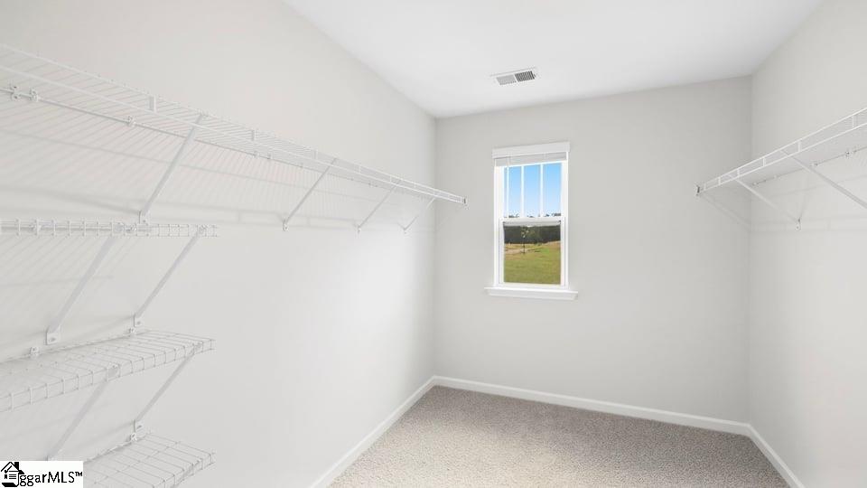 523 Whitewater Ridge Property Photo 33