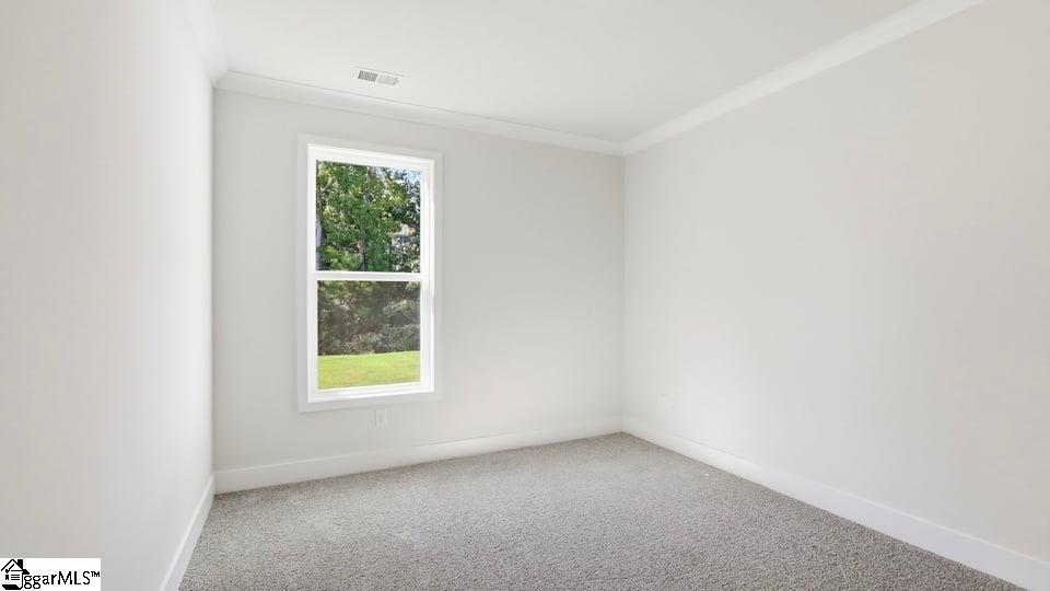 101 Cloverdale Way Property Photo 17