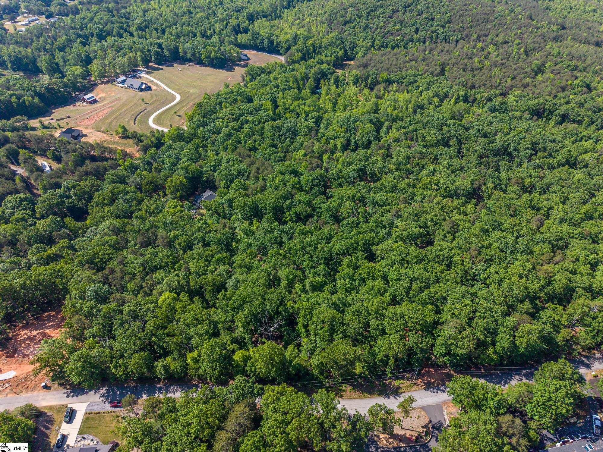 611 Packs Mountain Ridge Road Property Photo 6