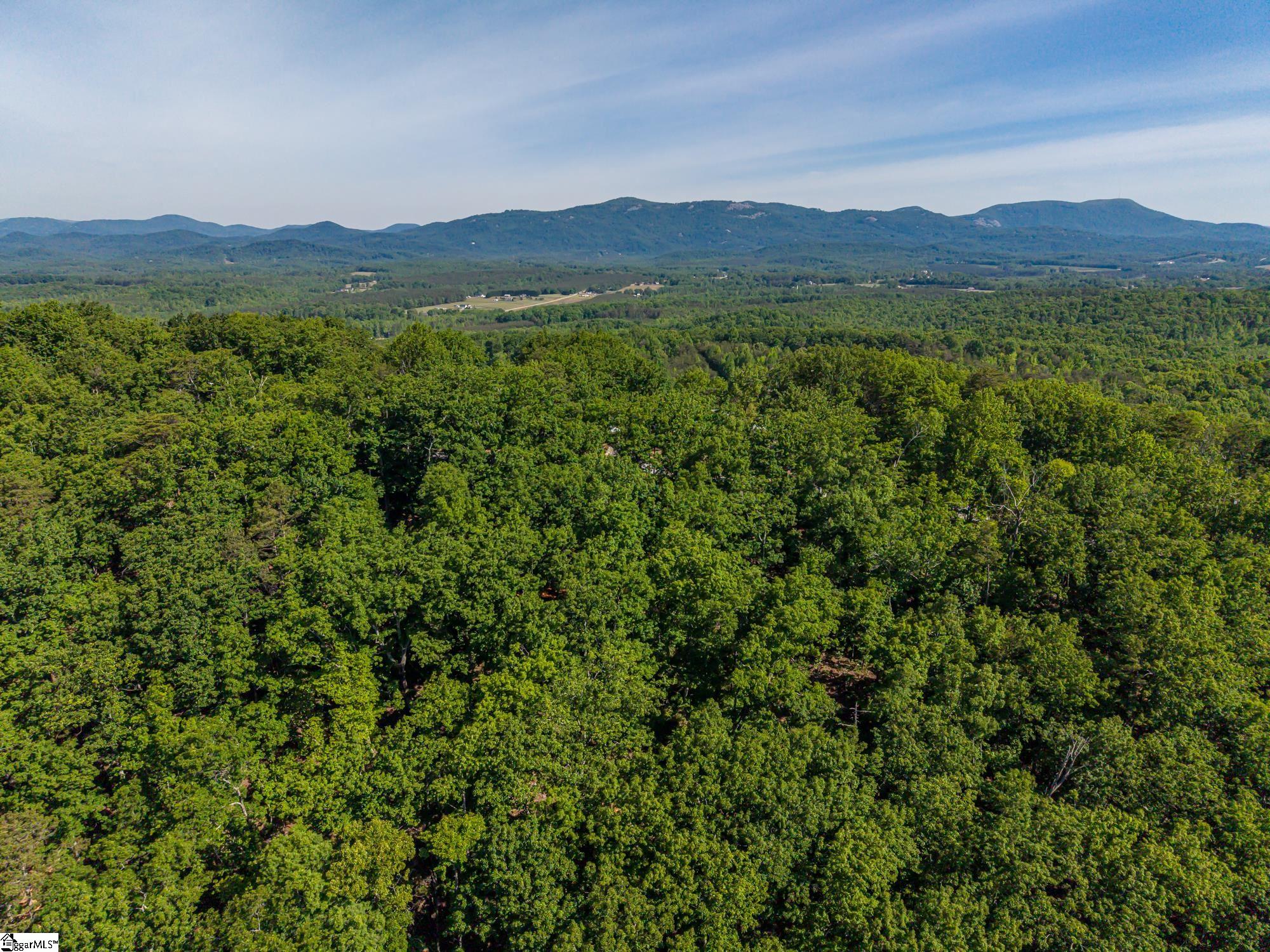 611 Packs Mountain Ridge Road Property Photo 11