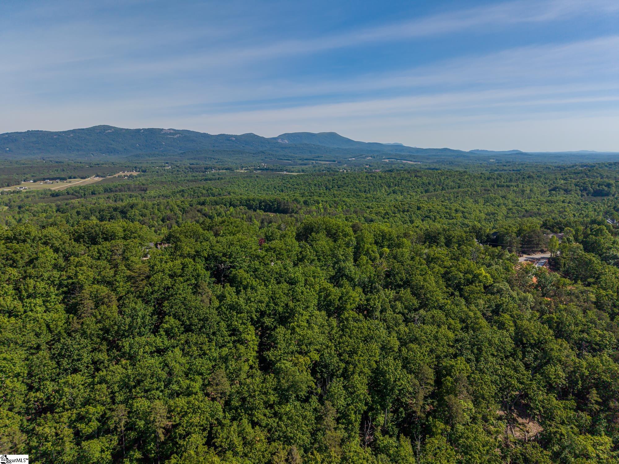 611 Packs Mountain Ridge Road Property Photo 12