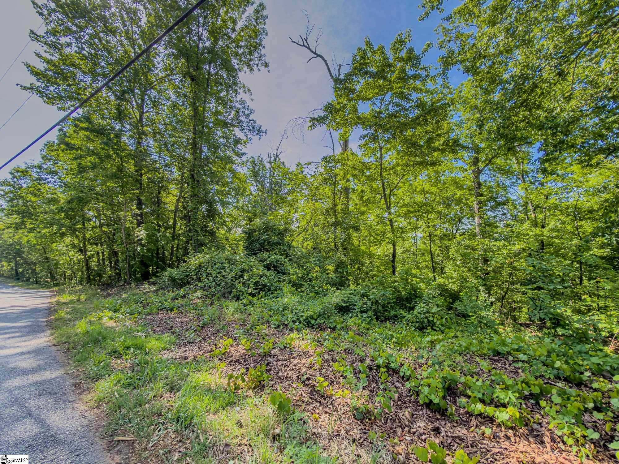 611 Packs Mountain Ridge Road Property Photo 15