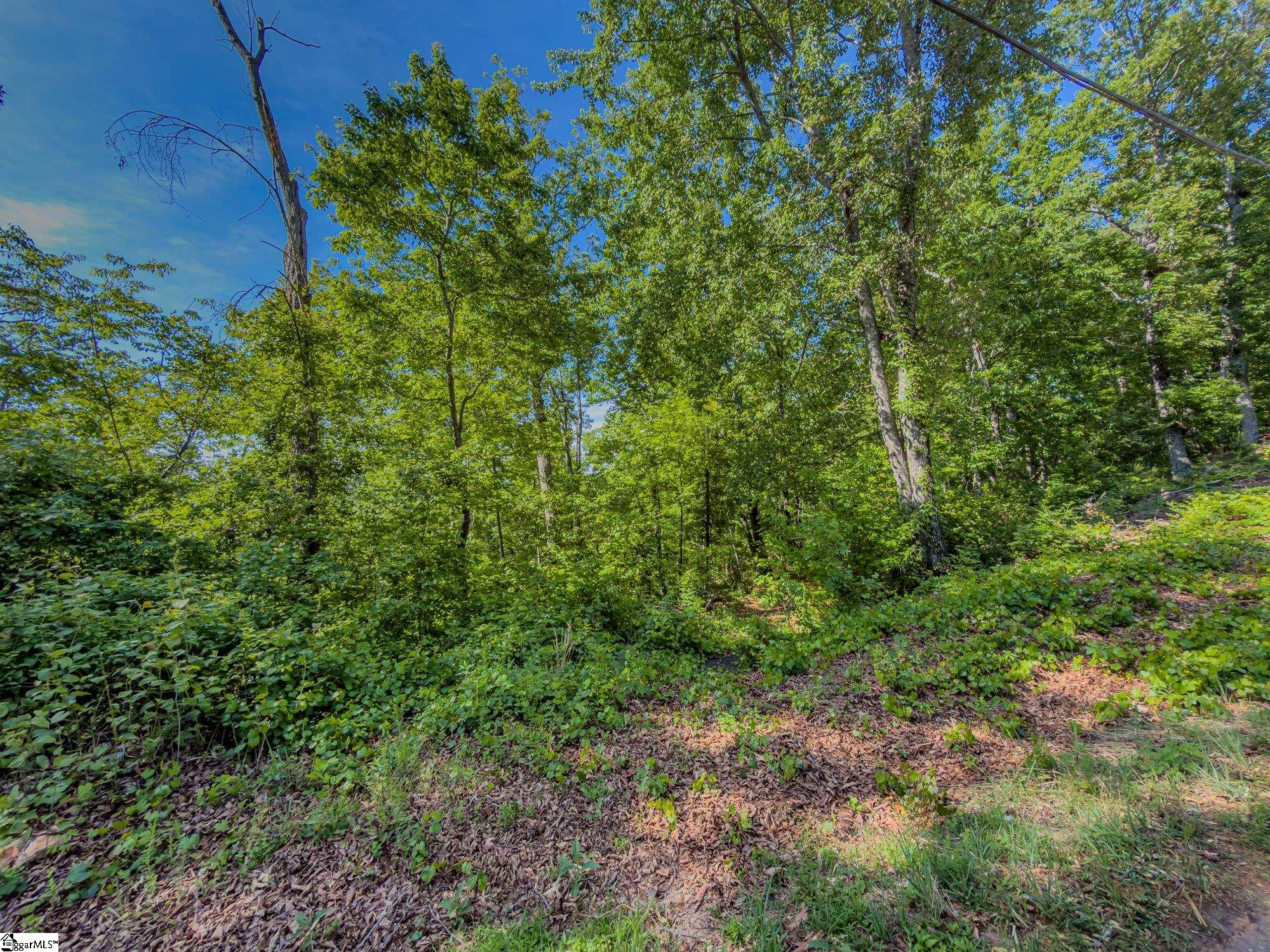 611 Packs Mountain Ridge Road Property Photo 16