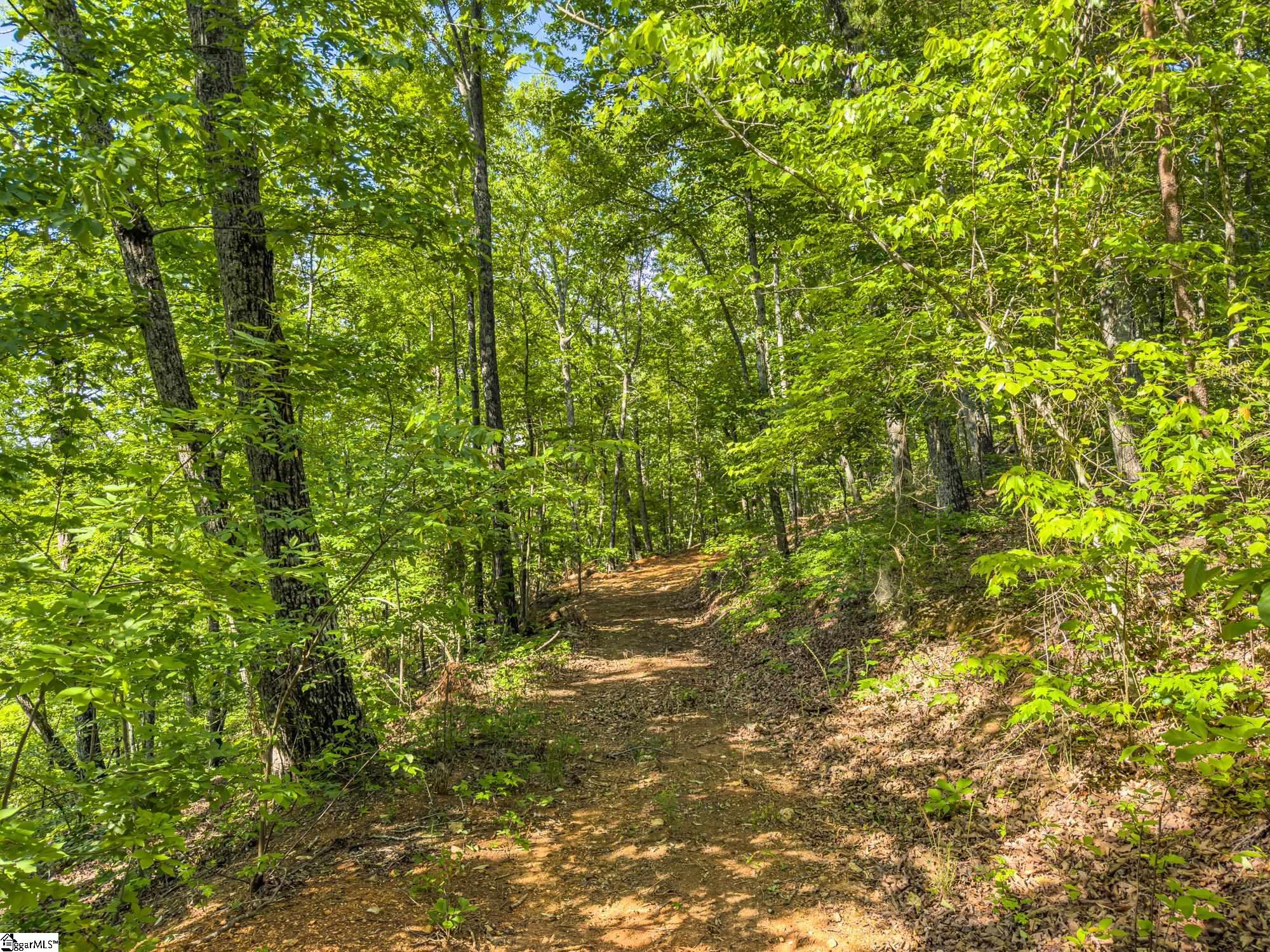 611 Packs Mountain Ridge Road Property Photo 17