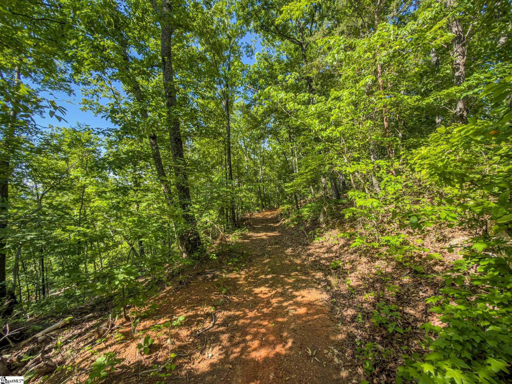 611 Packs Mountain Ridge Road Property Photo 18