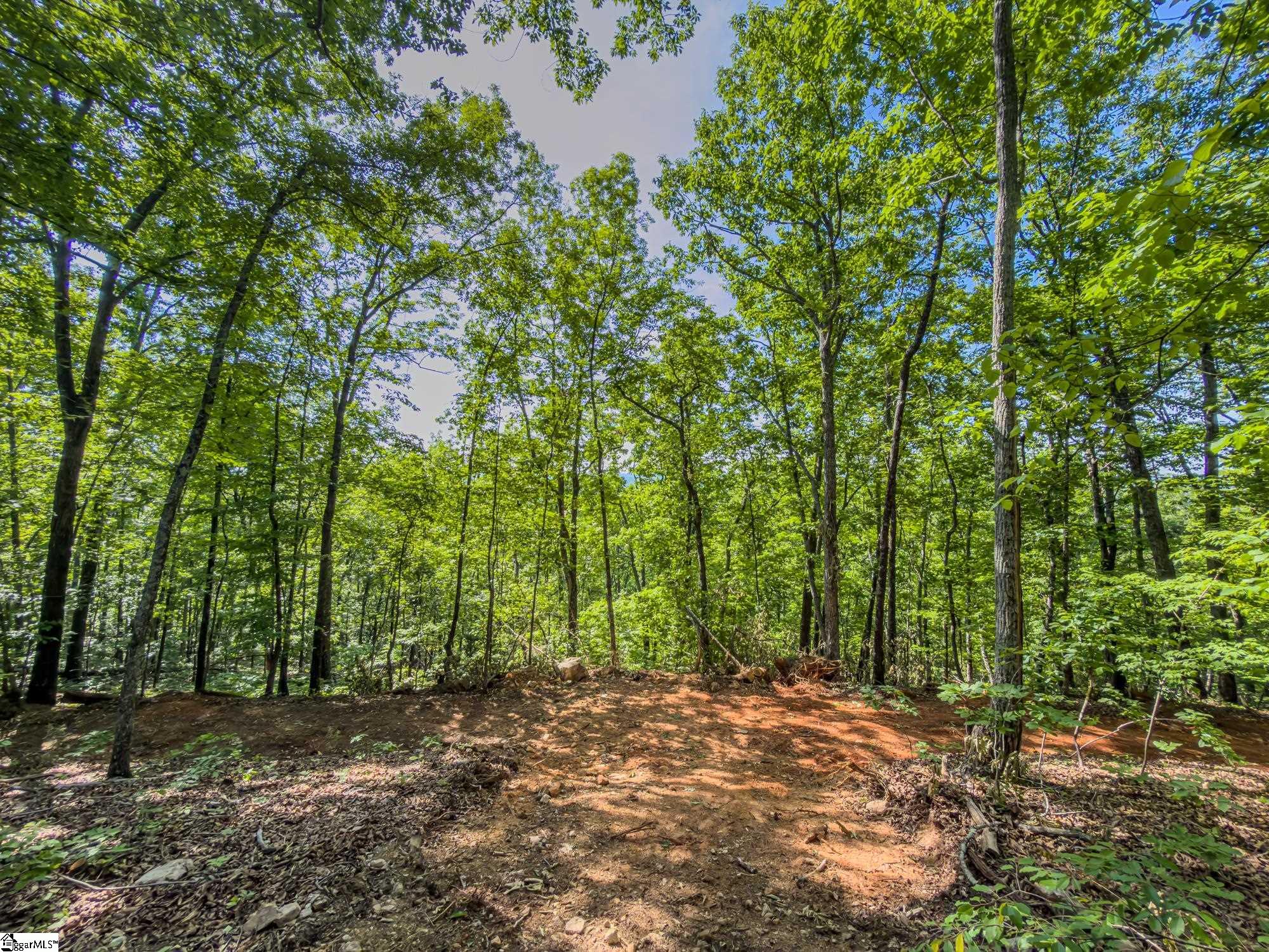 611 Packs Mountain Ridge Road Property Photo 21
